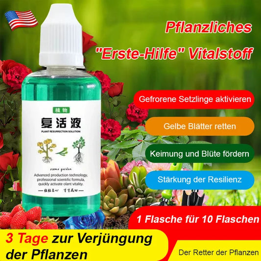 Universal plant and flower revitalizer