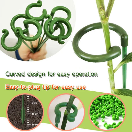 Plant Flower Support