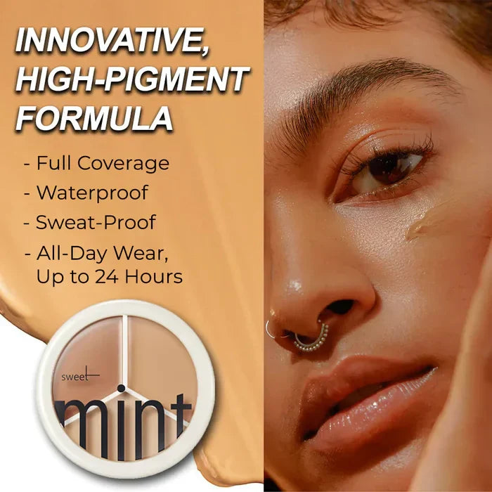 🔥Price Reduce Promotion! Tri-Color Concealer