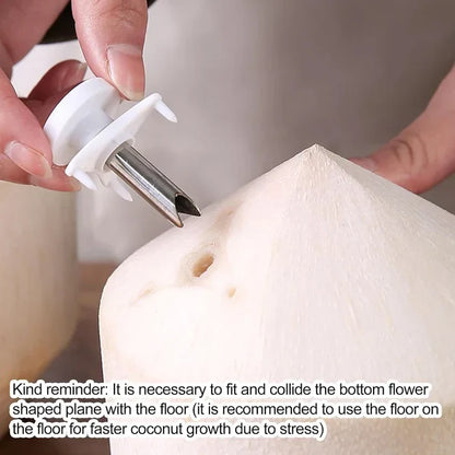 Coconut Opener