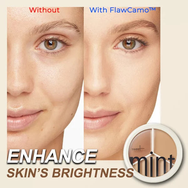 🔥Price Reduce Promotion! Tri-Color Concealer