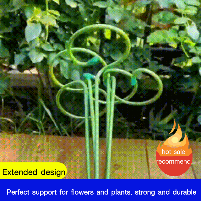 Plant Flower Support