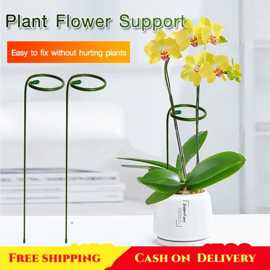 Plant Flower Support