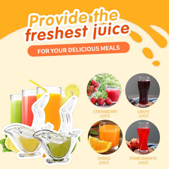 🔥Price Reduce Promotion!💝Transparent Manual Juicer