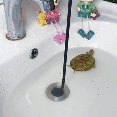 Multifunctional sewer extractor